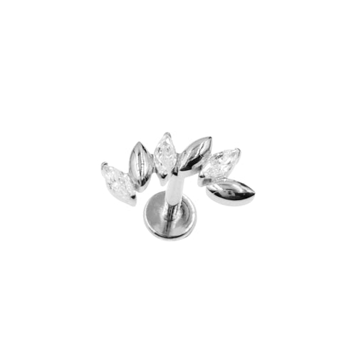 Fleure